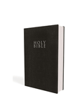 Holy Bible NIV