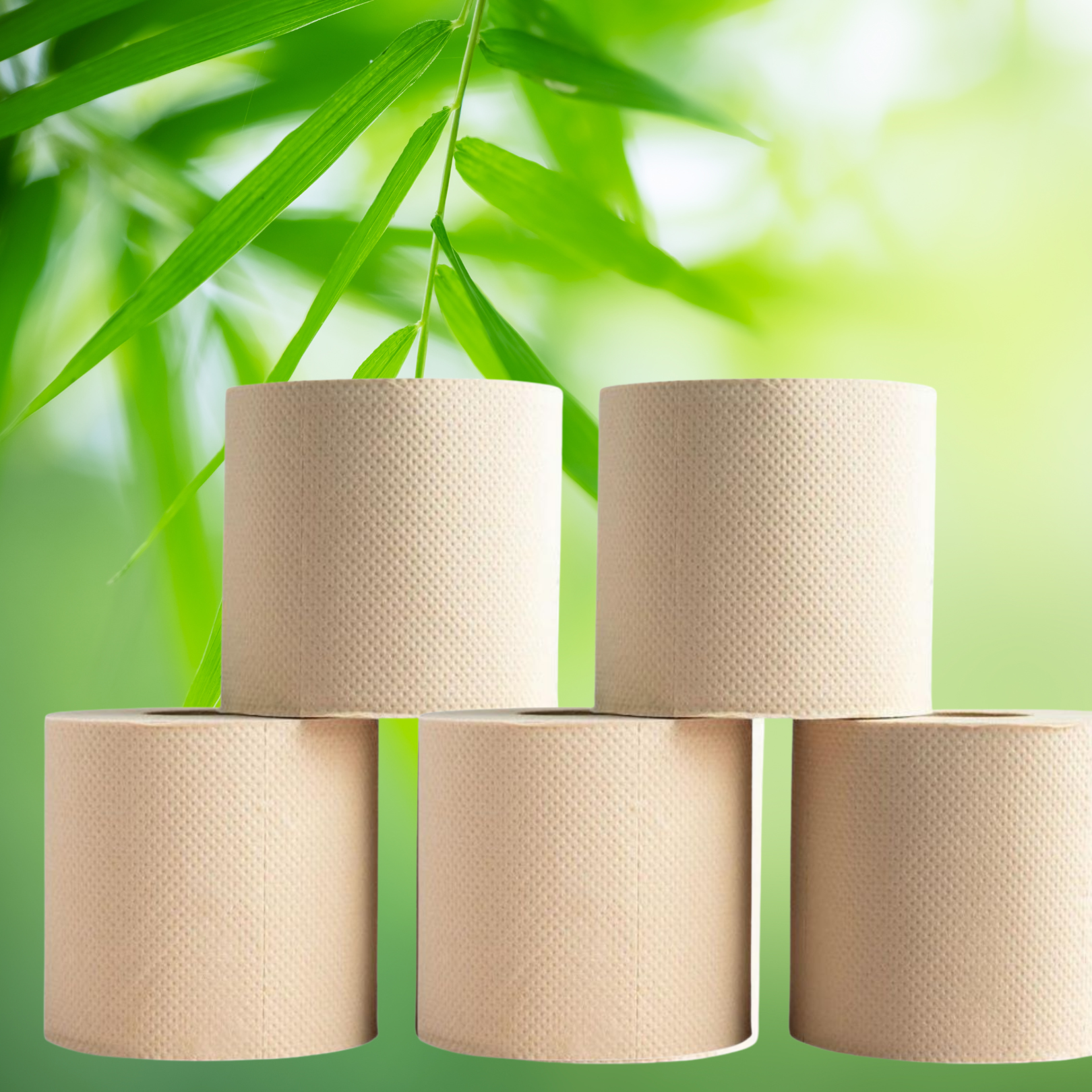 Bamboo Toilet paper Pack