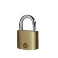 Yale Brass Padlock