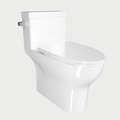 Ceramic Toilet