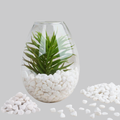 White River Stones