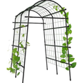 Climbing Plants Garden Trellis