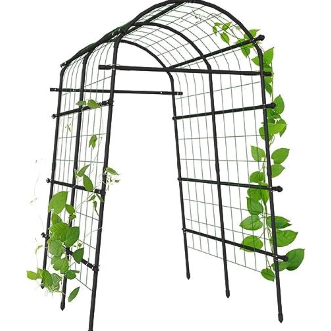 Climbing Plants Garden Trellis