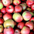 Red Apples