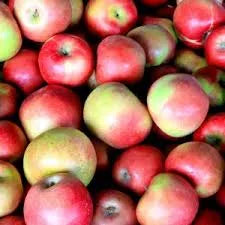 Red Apples